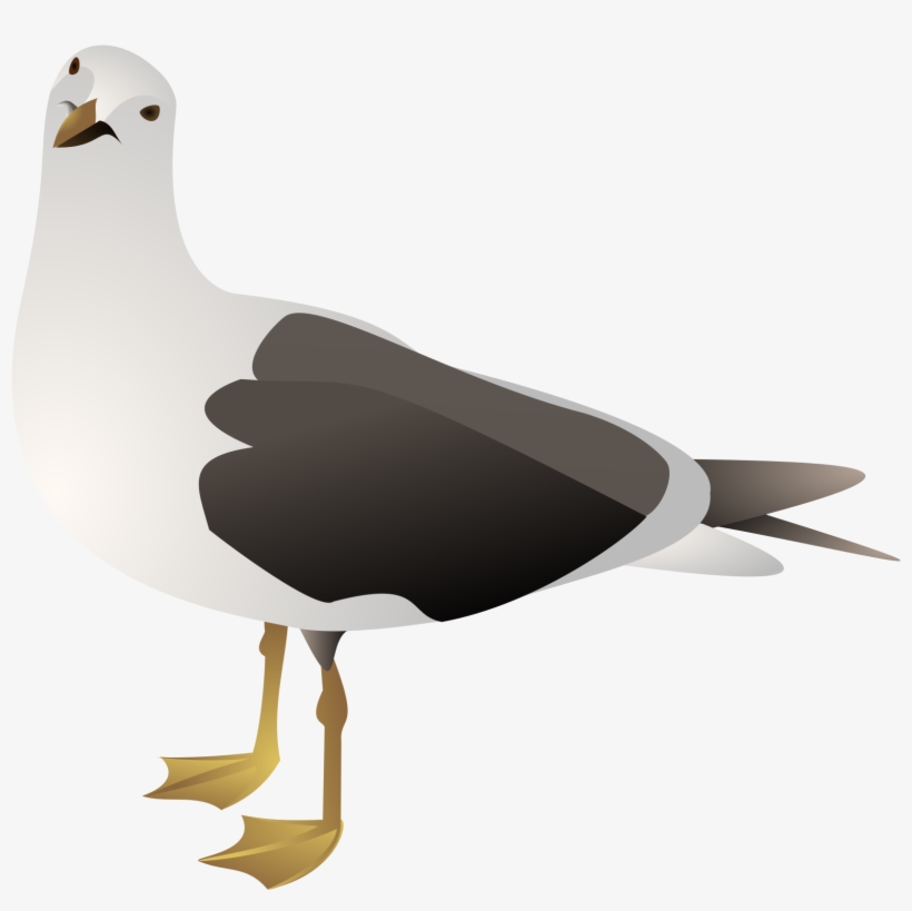 Clipart Seagull - Gulls Clipart, transparent png #1525536