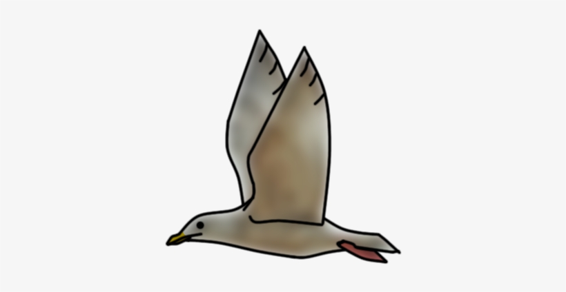 Gentoo Penguin, transparent png #1525621