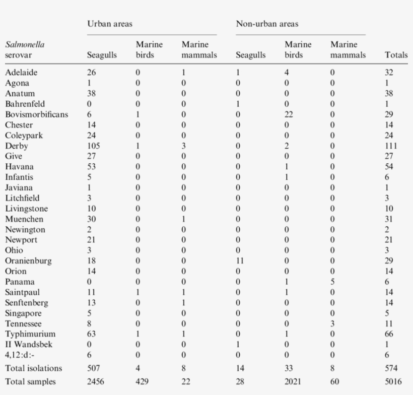 Salmonella Isolations From Seagulls, Marine Birds And - Document, transparent png #1525903