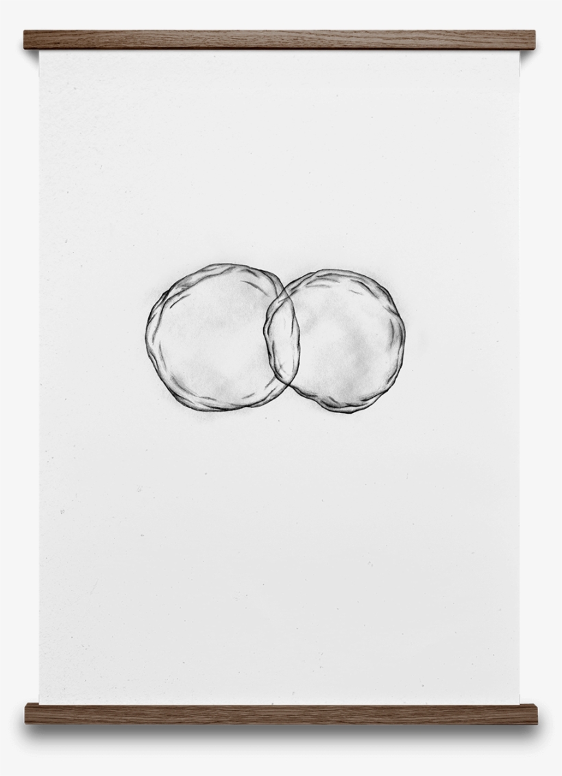 Weißer Hintergrund Zwei Zellen - Paper Collective Cells Poster, White, transparent png #1526627