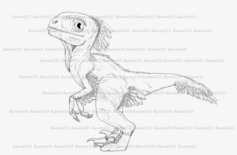 Svg Stock Realistic Raptor Featherd Non Interest Lioden - Baby Velociraptor Draw, transparent png #1526890