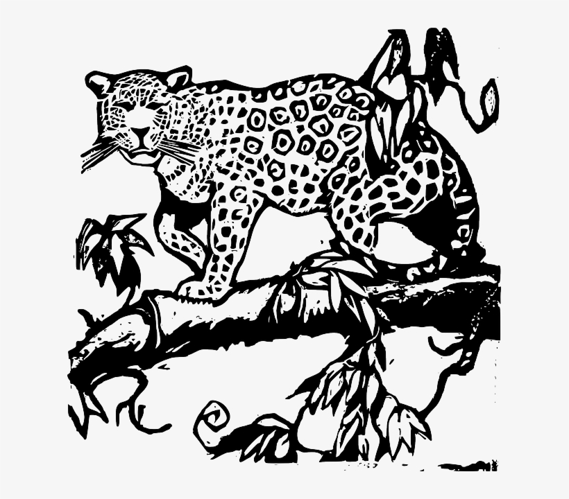 Animals, Baby, Cat, Silhouette, Cartoon, Wood, Cut - Jaguar Black N White, transparent png #1527407