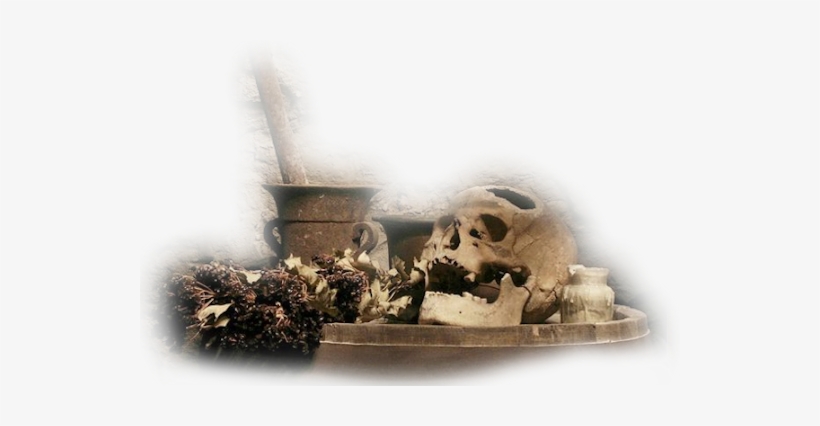 Potion-007 - Still Life Photography, transparent png #1527840