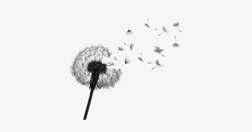 Dandelion Seed Png - Dandelion Tattoo Designs, transparent png #1528009