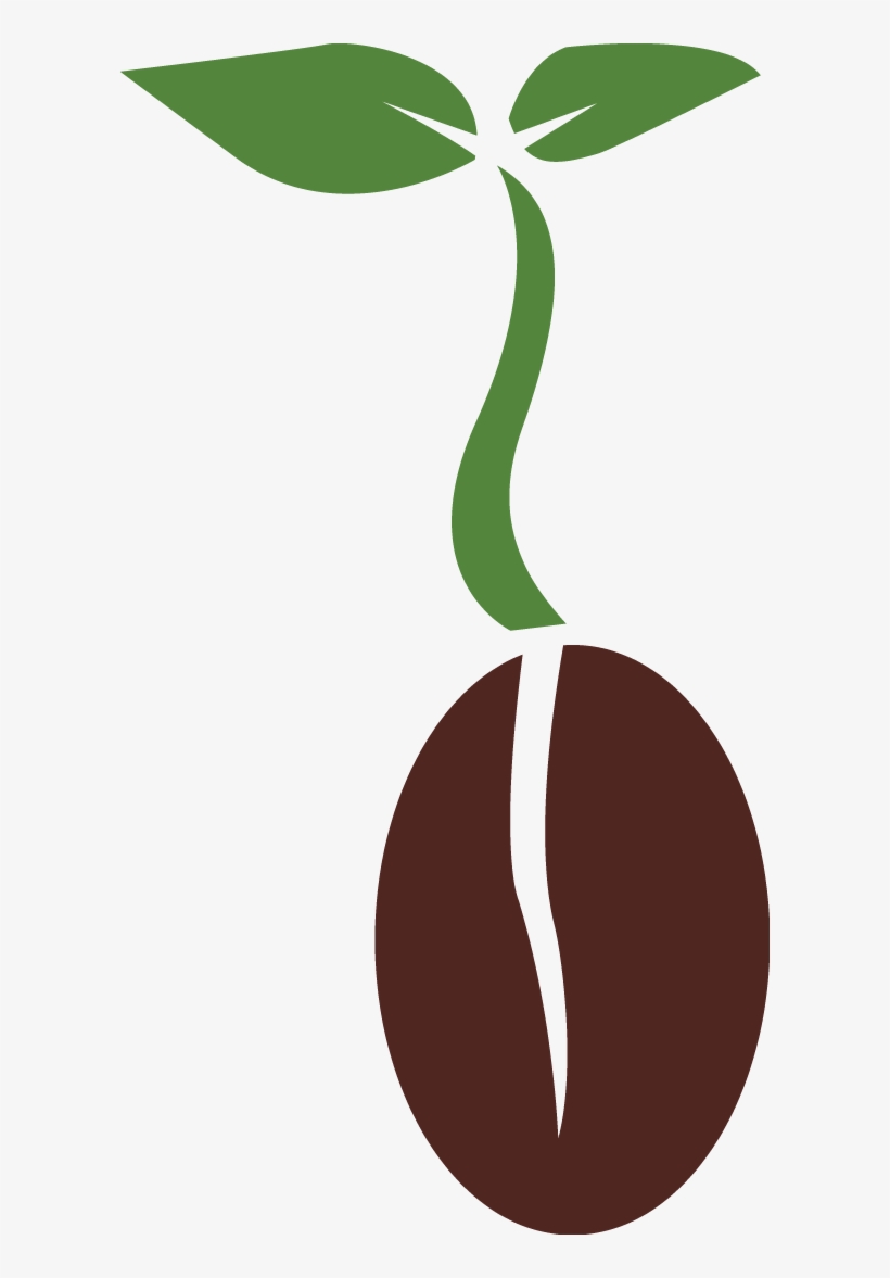 Seed Png Clipart - Seed Png, transparent png #1528087