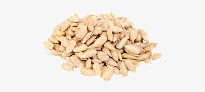 Sunflower Seeds Png - Food To Live Sunflower Seeds (raw, No Shell) (12 Pounds), transparent png #1528104