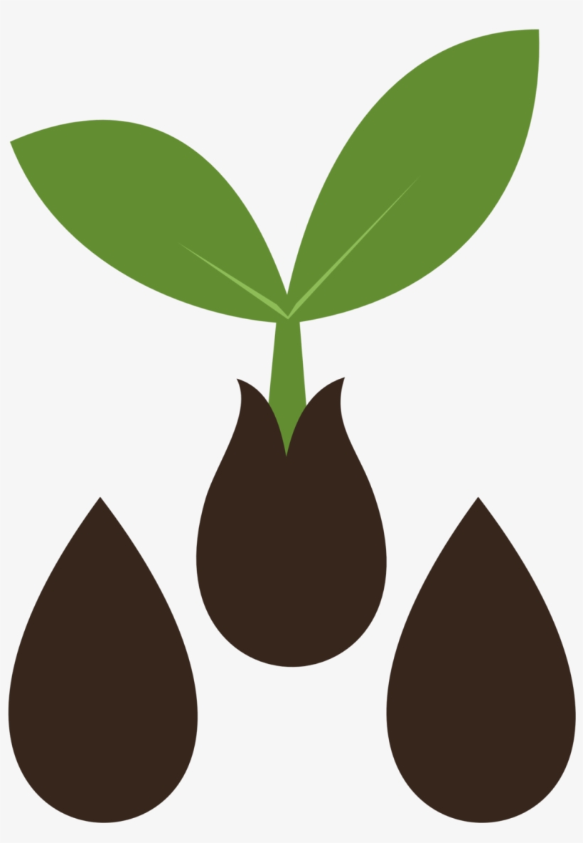 Image Transparent Stock Image Result For Pinterest - Mlp Seed Cutie Mark, transparent png #1528151