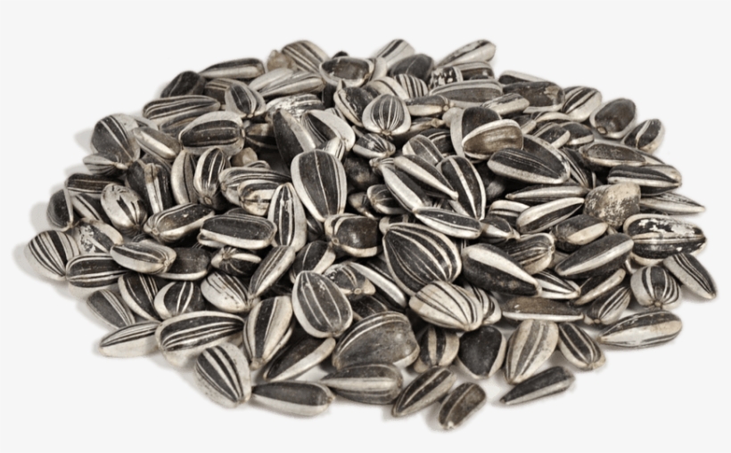 Free Png Sunflower Seeds Png Images Transparent - Sunflower Seeds Png, transparent png #1528341