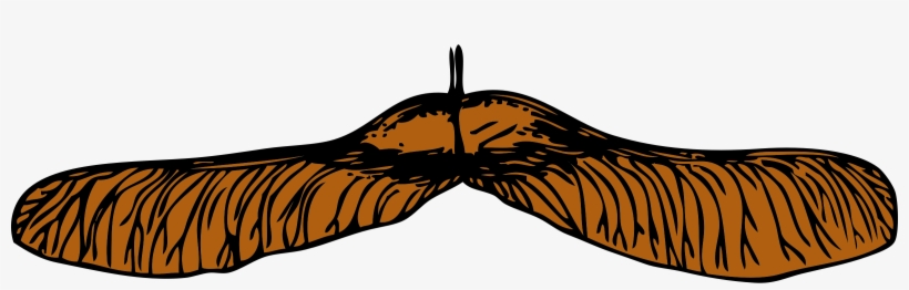 This Free Icons Png Design Of Maple Seed, transparent png #1528572