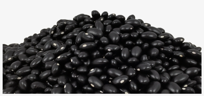 Seeds - Pebble, transparent png #1528808