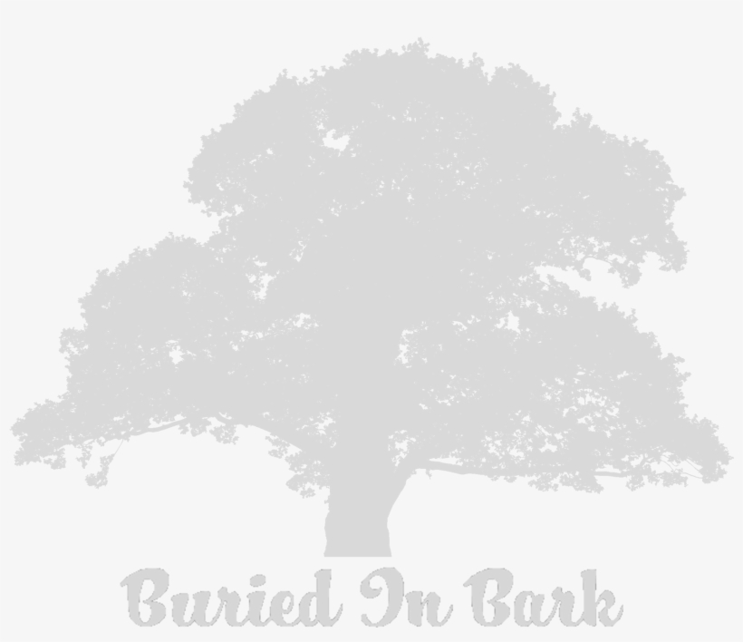 About - Old Oak Tree Silhouette, transparent png #1528973