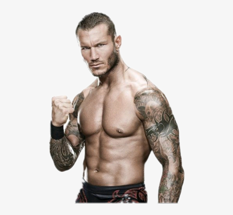 Wwe Superstars Randy Orton, transparent png #1528976