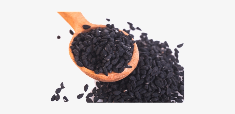 Black Seed Oil - Black Seed In Malay, transparent png #1528992