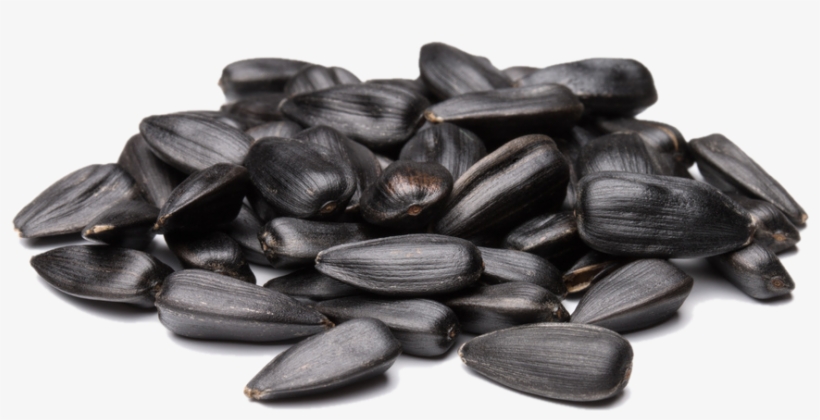 Sunflower Seeds Png - Sunflower Seed, transparent png #1529012