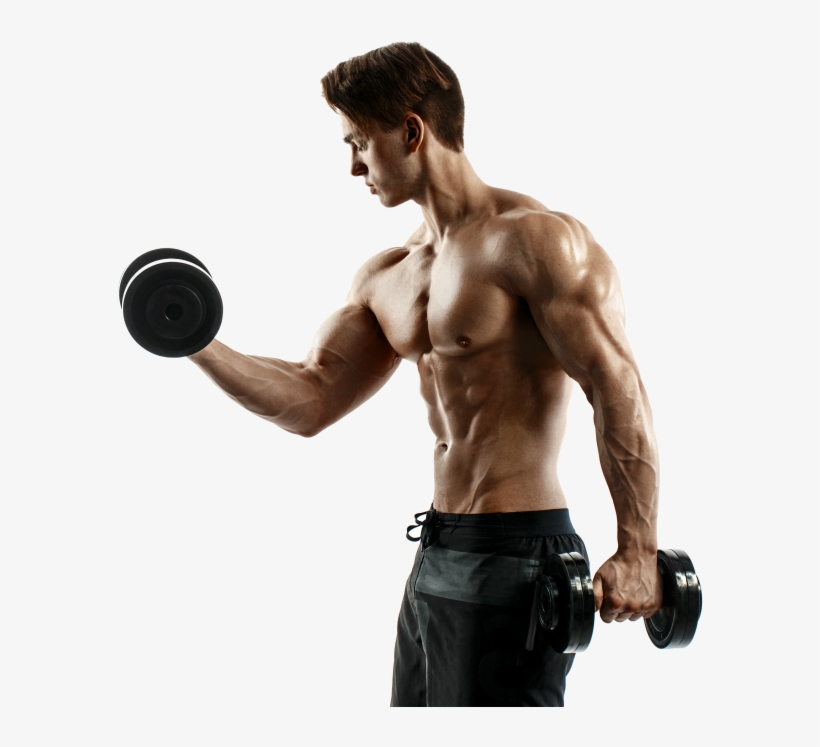 Are All Trainers Certified - Bodybuilding, transparent png #1529071