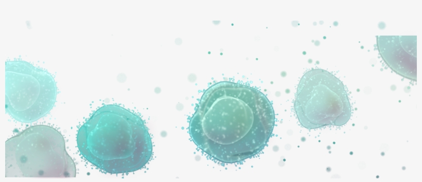 Bubbles Midground - Circle, transparent png #1529201