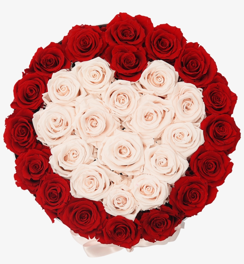 Orb Grand Red And Baby Pink Heart Roses - Rose, transparent png #1529247