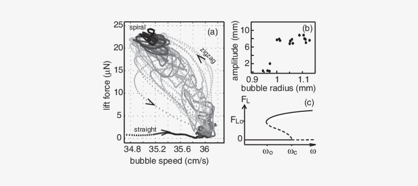 Evolution Of The Lift Force With Bubble Speed During - Drawing, transparent png #1529686