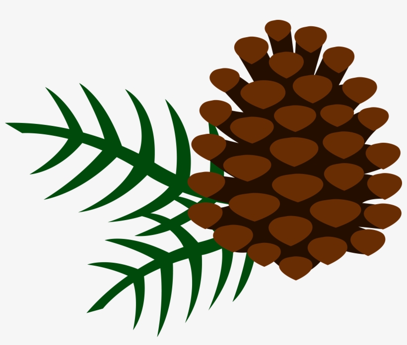 Pine Cone Clip Art - Clip Art Pine Cone, transparent png #1530781