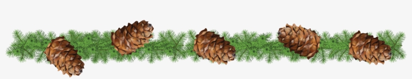 Space Them Out However You Want - Shortstraw Pine, transparent png #1530858