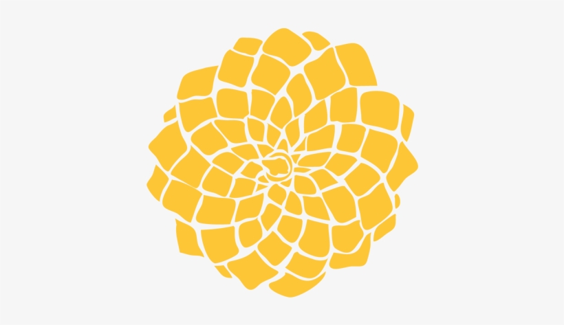 Seedless Fruit, transparent png #1530941