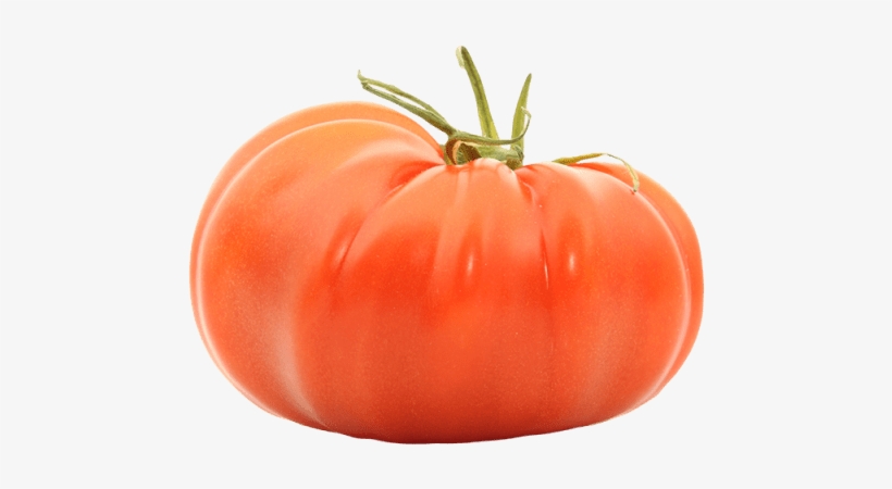 Beefsteak Tomato - Tomate De Marmande, transparent png #1531391