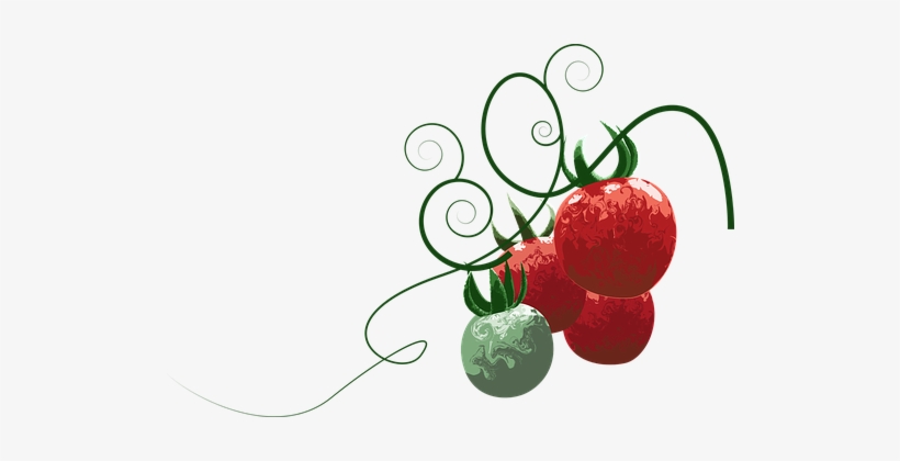 Tomato, Fruit, Food, Healthy, Fresh - Fruit, transparent png #1531410