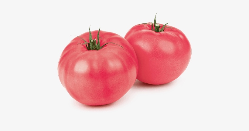 Curio Tomatoes Loose Product Image - Mucci Farms Ltd., transparent png #1531440