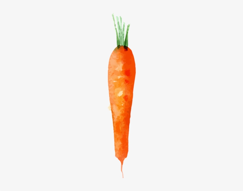 Carrot - Baby Carrot, transparent png #1531533