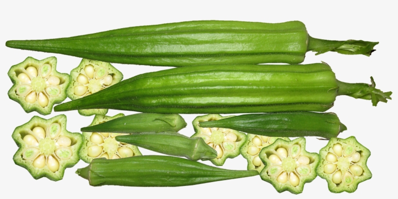 An Abundance Of Tomatoes & Okra - Okra Controls Hunger And Diabetes Lowers Cholesterol, transparent png #1531830