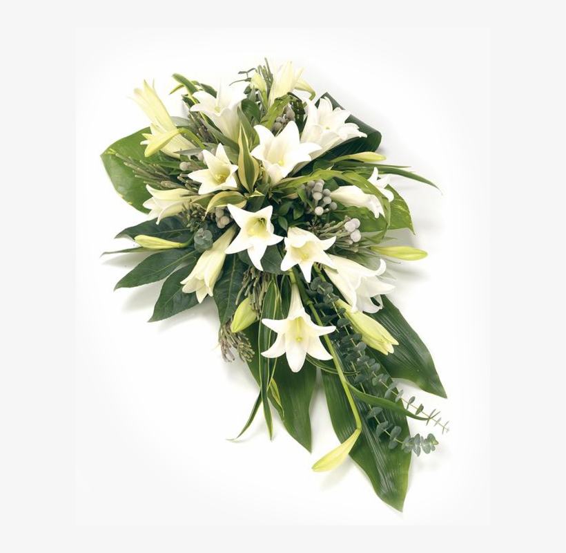 Whiteflowers - Single Ended Spray, transparent png #1532032