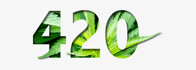 Smoke On The Water - Plant Pathology, transparent png #1532102