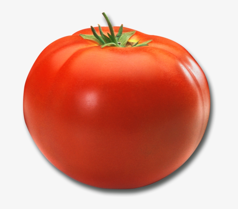 4 Large Tomato - Tomaat Png, transparent png #1532337