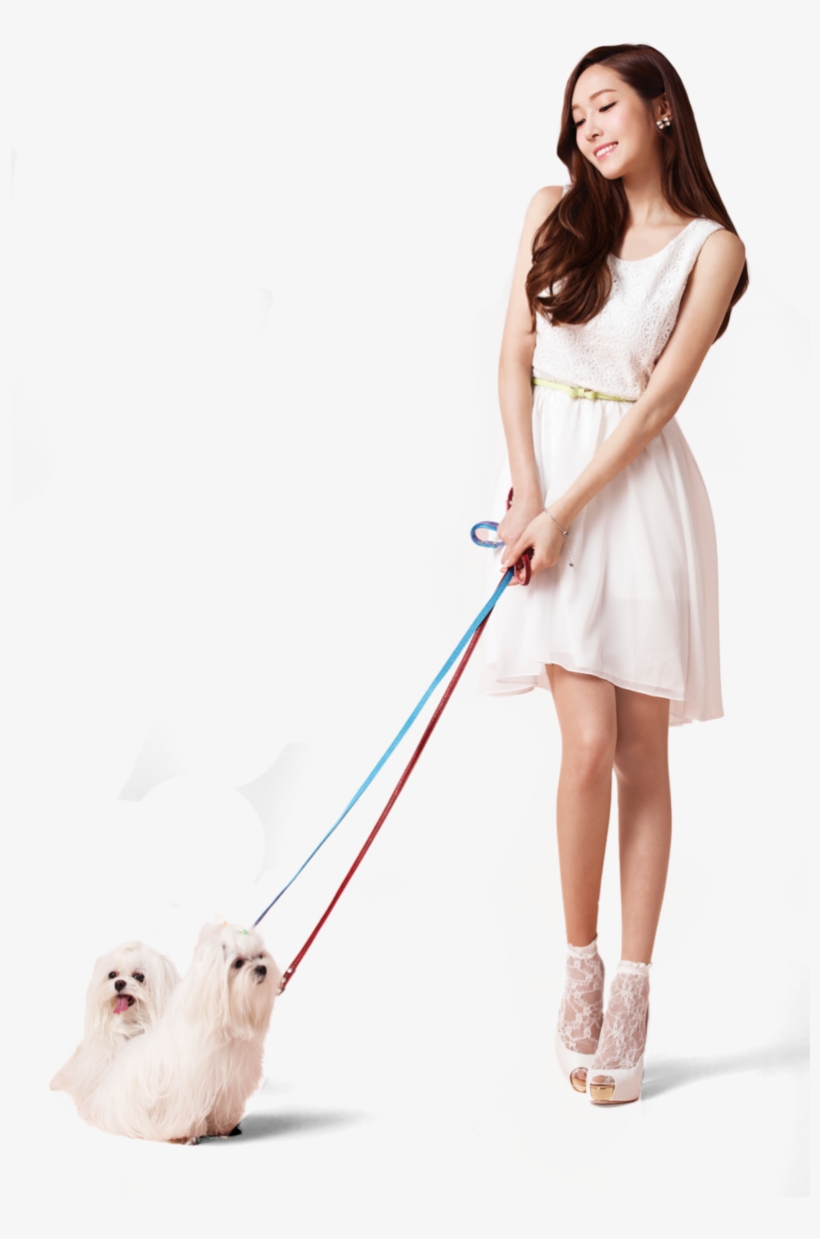 China-perro - Jessica Jung With Animal, transparent png #1532646