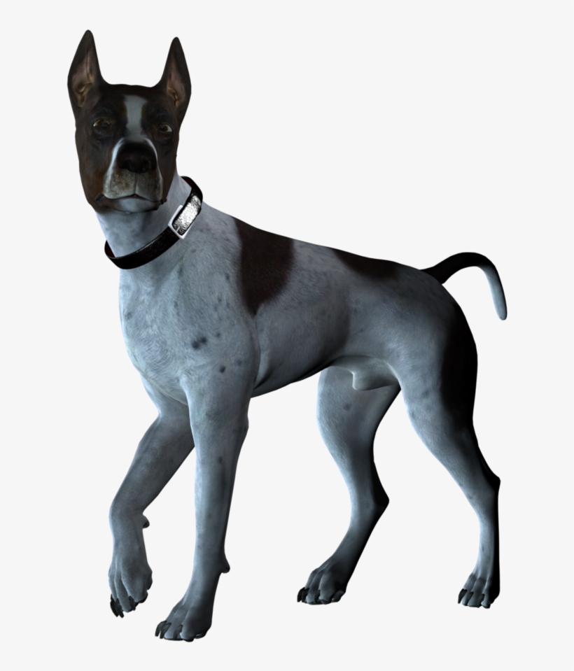 Perro-grande - Pet Dog Png Stock, transparent png #1532956