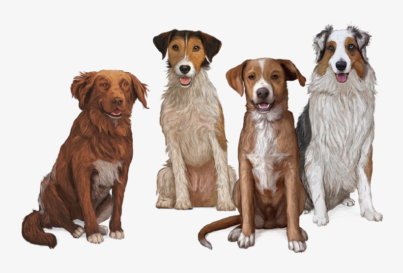 Dog Food - Perro Gosbi, transparent png #1533107