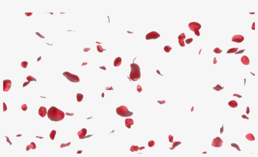 Rose Petals Png Image1 - Rose Petals Png Gif, transparent png #1533257