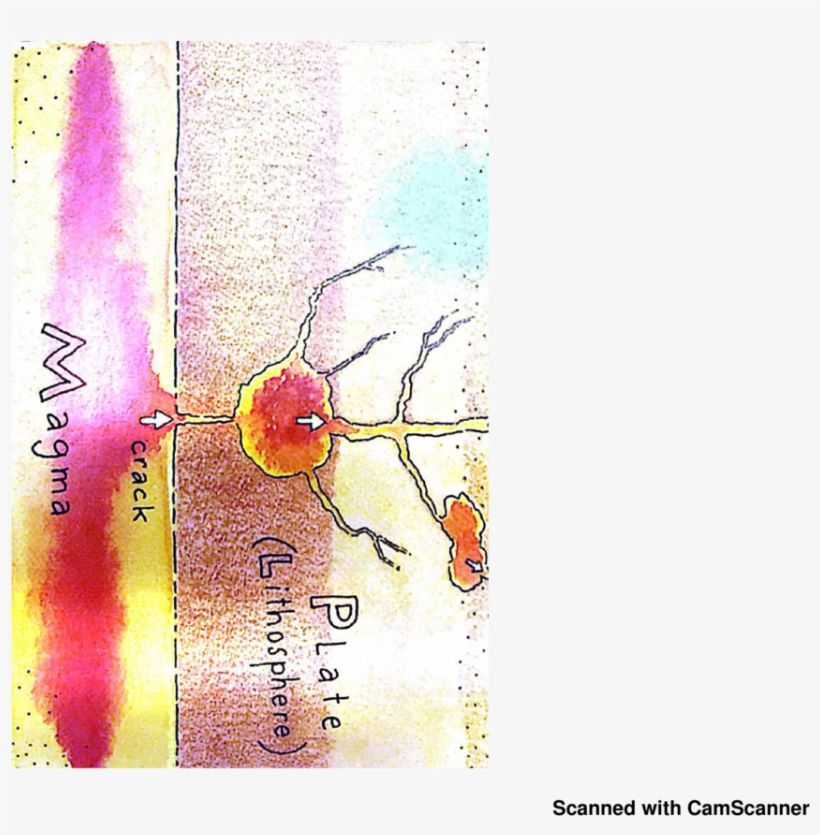 Visual Arts, transparent png #1533384