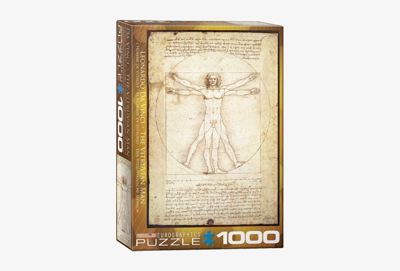 Vitruvian Man - Symmetry In The Body, transparent png #1533922