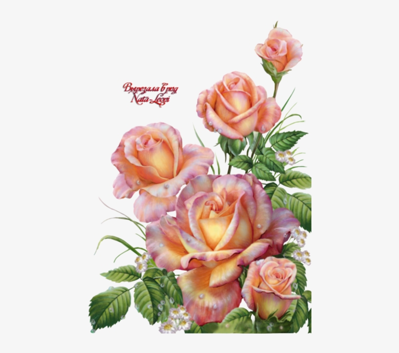 0 F3902 4f427529 Orig - Открытки С Днем Ангела Ольги, transparent png #1533981