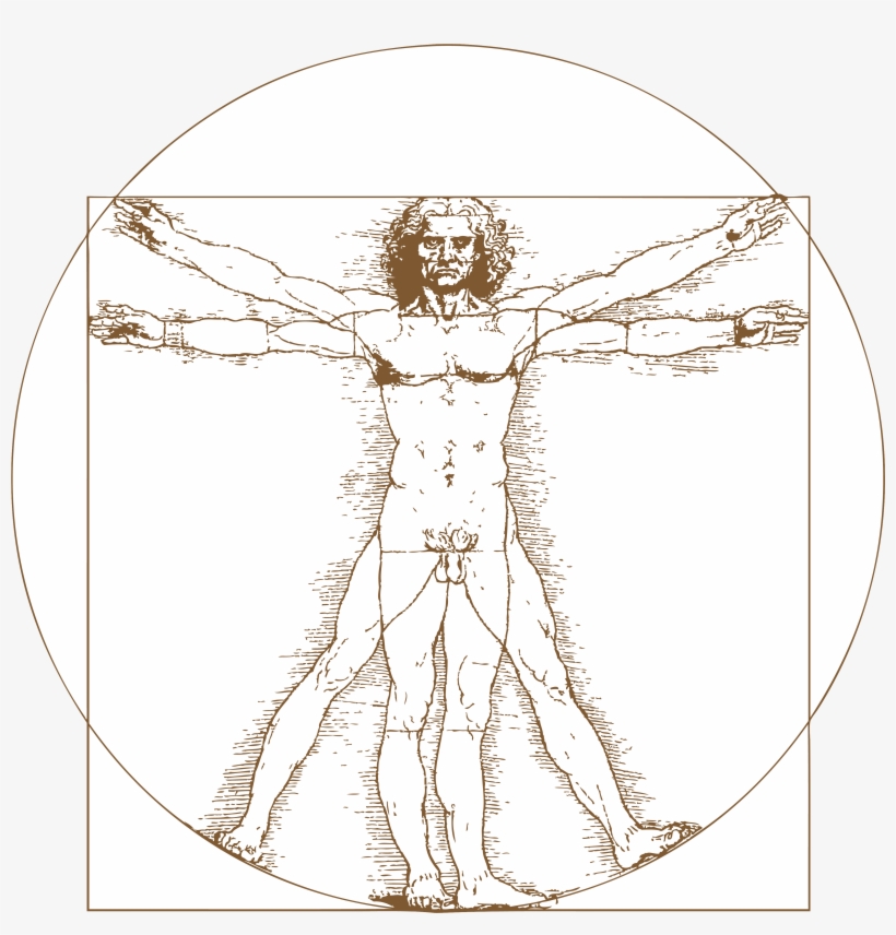 Certificates - Leonardo Da Vinci Vitruvian Man Tattoo, transparent png #1534065
