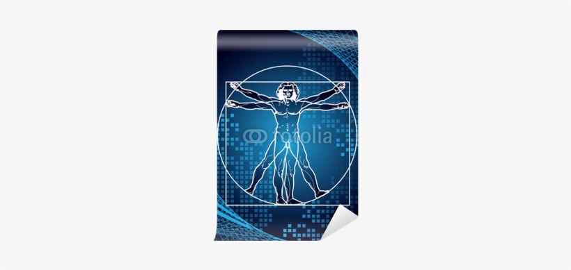 Leonardo's Vitruvian Man Wall Mural - Digital Vitruvian Man, transparent png #1534116