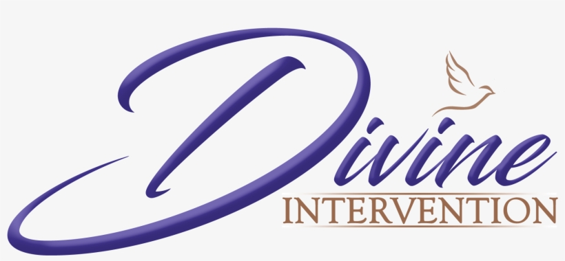 Divine Intervention - Divine Appointments: A How-to Soul-winning Guide [book], transparent png #1534208