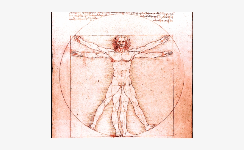 Image - Leonardo Da Vinci, transparent png #1534338