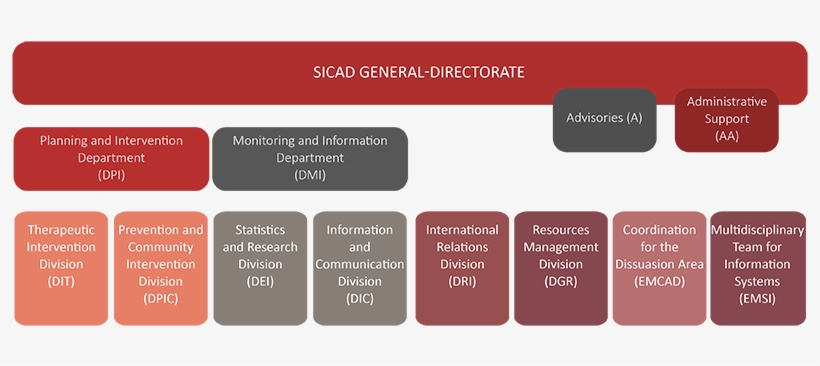 Png - Organizational Chart, transparent png #1534750