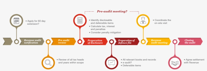 The Audit Process Infographic, Revenue Compliance Intervention - Diagram, transparent png #1534983