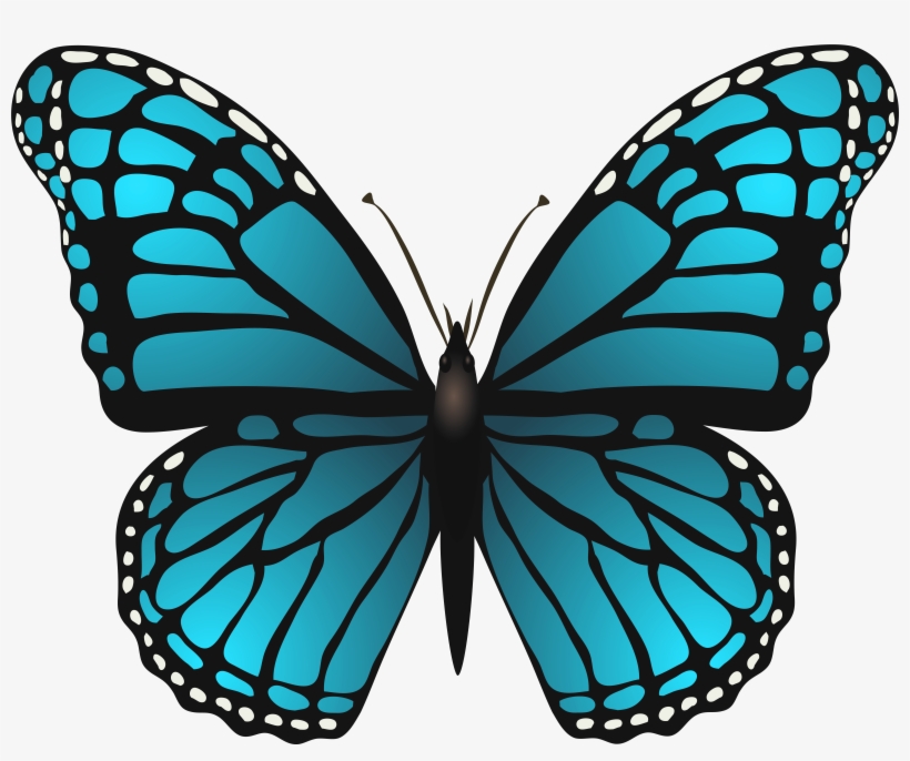 Blue Butterfly Png, transparent png #1535093