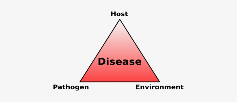 Illustration Of The Disease Triangle - Abramson Center For Jewish Life, transparent png #1535681