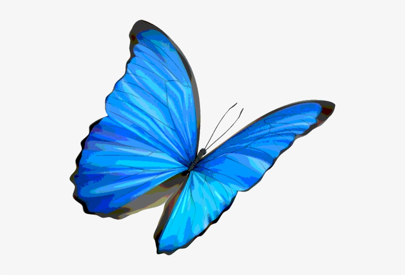 Life Is Strange Butterfly Png, transparent png #1535716