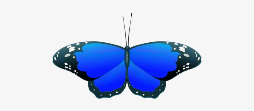 Blue Butterfly - Butterfly Clipart Black And White Png, transparent png #1535913